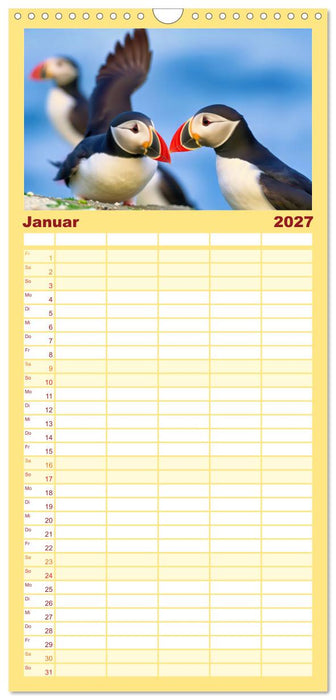 Tieftaucher Papageitaucher (CALVENDO Familienplaner 2027)