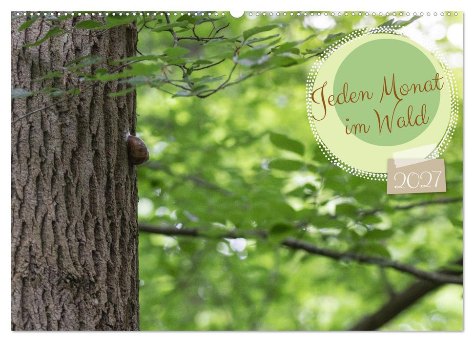 Jeden Monat im Wald (CALVENDO Wandkalender 2027)