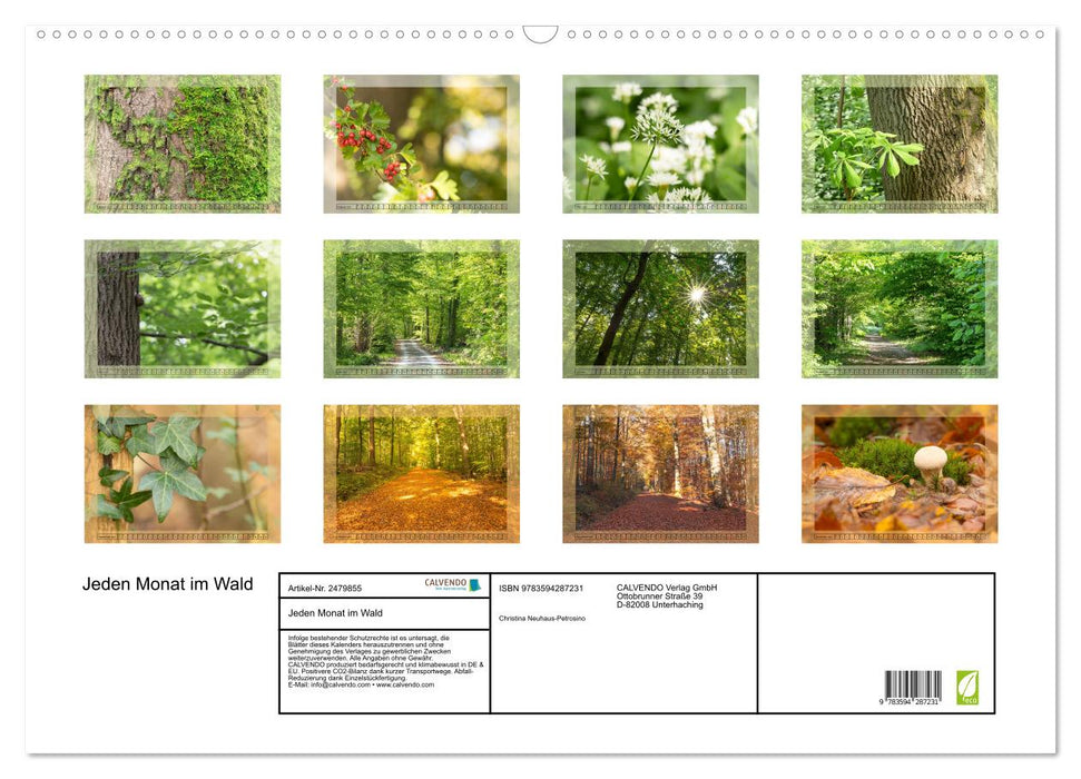 Jeden Monat im Wald (CALVENDO Wandkalender 2027)