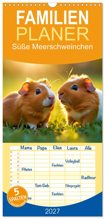 Süße Meerschweinchen (CALVENDO Familienplaner 2027)