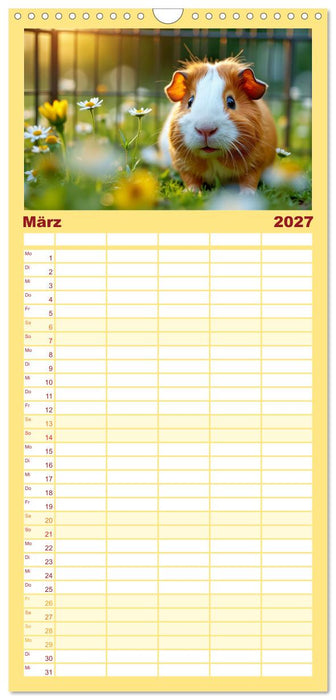 Süße Meerschweinchen (CALVENDO Familienplaner 2027)