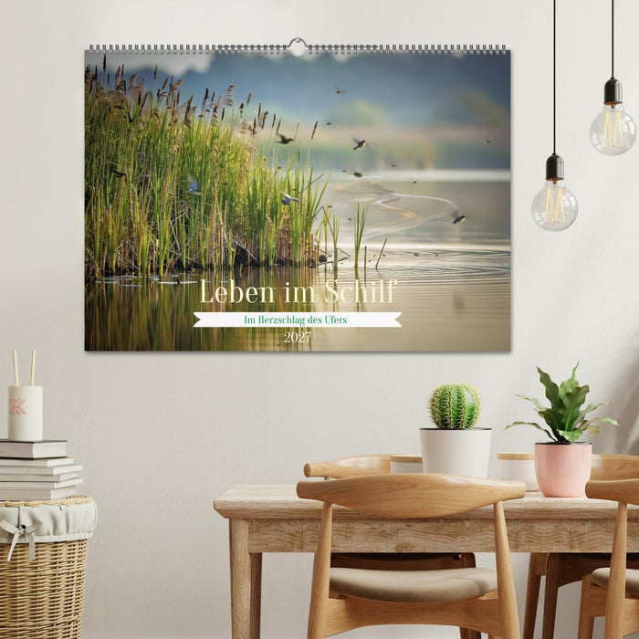 Leben im Schilf (CALVENDO Wandkalender 2027)