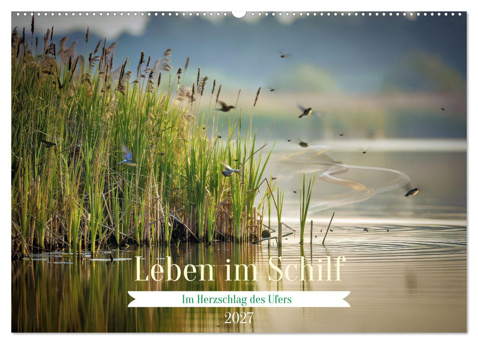 Leben im Schilf (CALVENDO Wandkalender 2027)