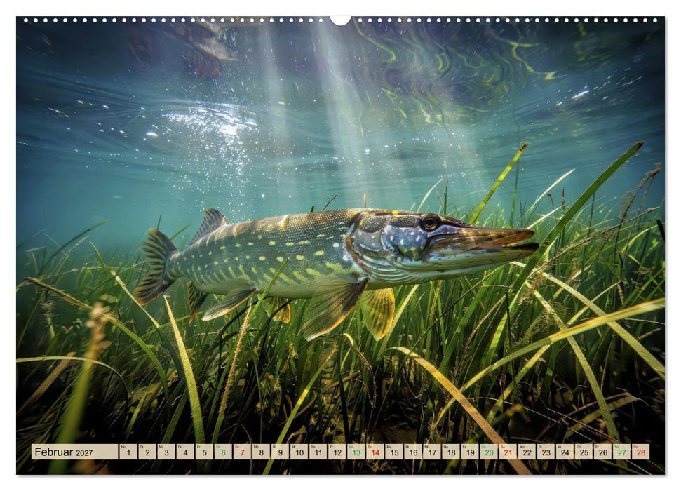 Leben im Schilf (CALVENDO Wandkalender 2027)