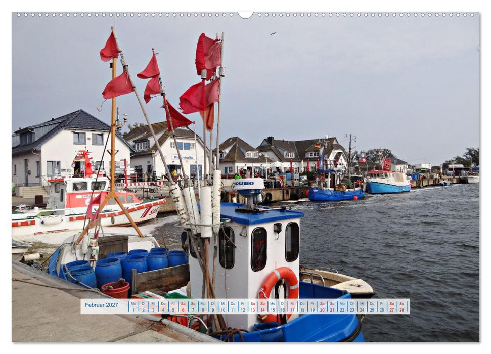 Sötes Länneken Insel Hiddensee (CALVENDO Premium Wandkalender 2027)
