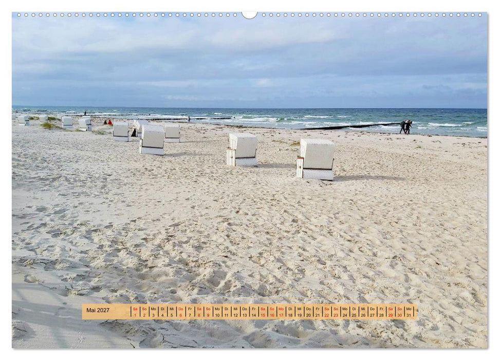 Sötes Länneken Insel Hiddensee (CALVENDO Premium Wandkalender 2027)