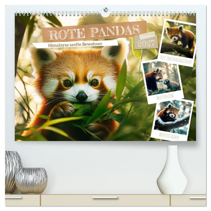 Rote Pandas - Himalayas sanfte Bewohner (CALVENDO Premium Wandkalender 2027)