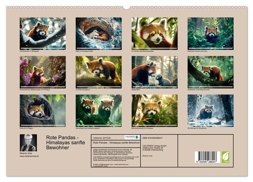Rote Pandas - Himalayas sanfte Bewohner (CALVENDO Premium Wandkalender 2027)