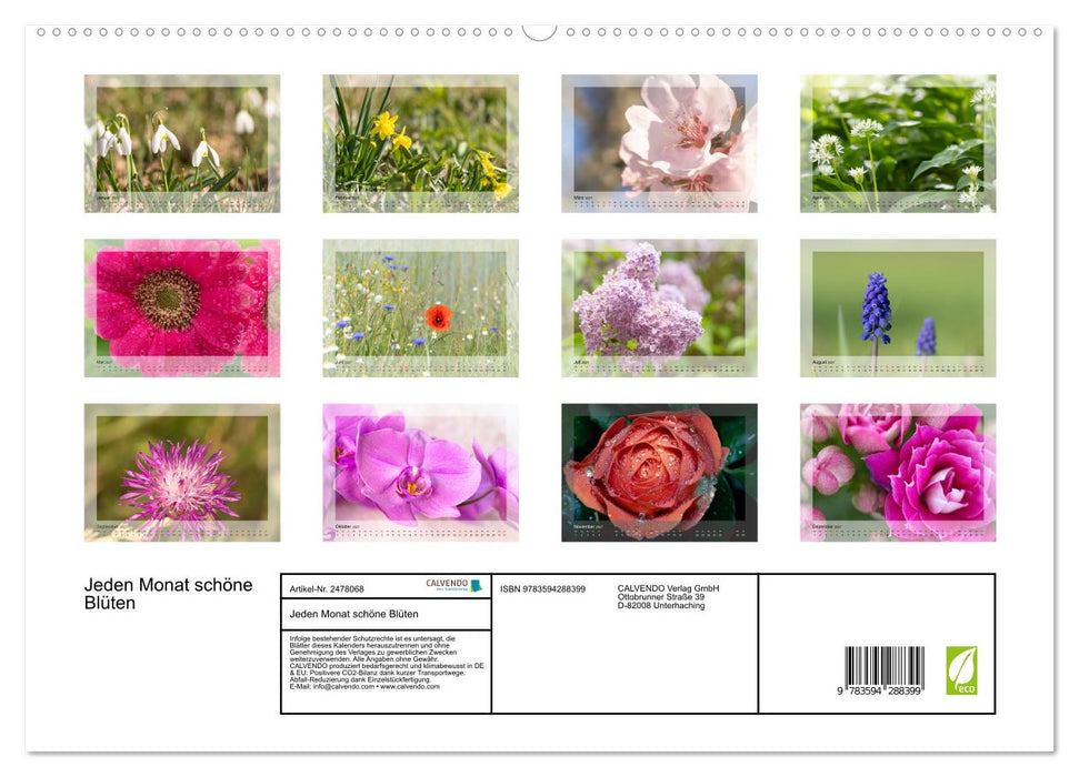Jeden Monat schöne Blüten (CALVENDO Premium Wandkalender 2027)