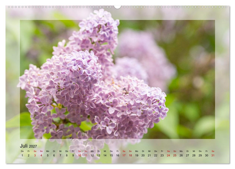 Jeden Monat schöne Blüten (CALVENDO Premium Wandkalender 2027)