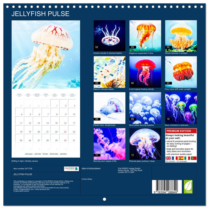 JELLYFISH PULSE (CALVENDO Monthly Calendar 2027)