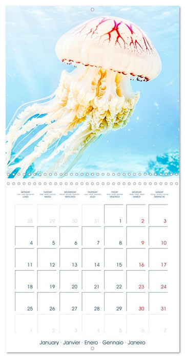 JELLYFISH PULSE (CALVENDO Monthly Calendar 2027)