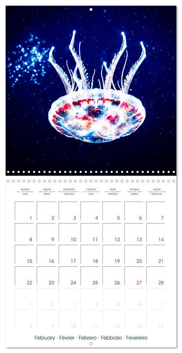 JELLYFISH PULSE (CALVENDO Monthly Calendar 2027)