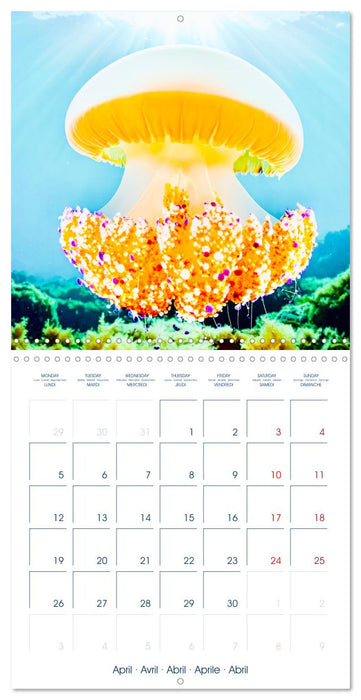 JELLYFISH PULSE (CALVENDO Monthly Calendar 2027)