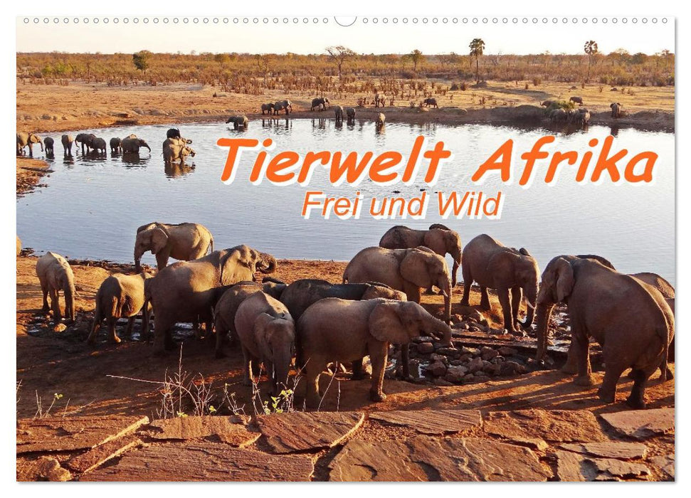 Tierwelt Afrika - Frei und Wild (CALVENDO Wandkalender 2027)