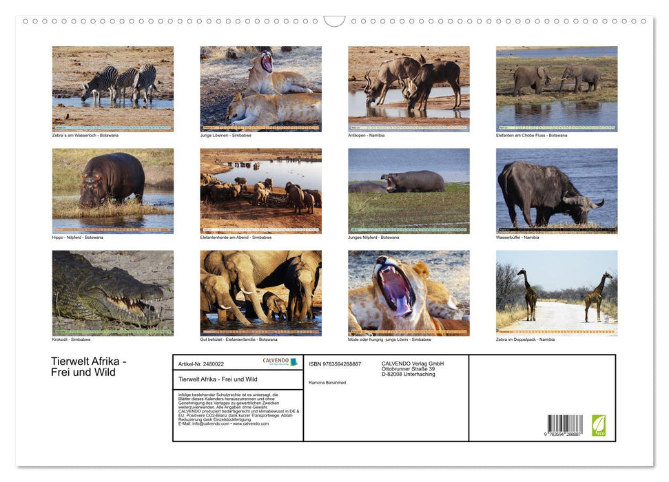 Tierwelt Afrika - Frei und Wild (CALVENDO Wandkalender 2027)