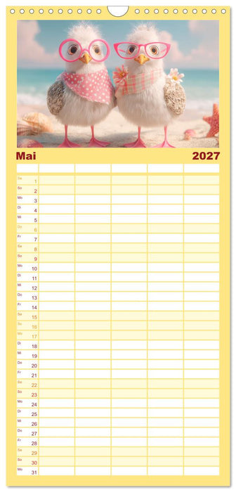Möwen on Tour (CALVENDO Familienplaner 2027)