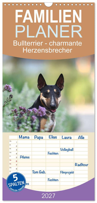 Bullterrier - charmante Herzensbrecher (CALVENDO Familienplaner 2027)