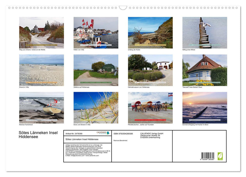 Sötes Länneken Insel Hiddensee (CALVENDO Wandkalender 2027)