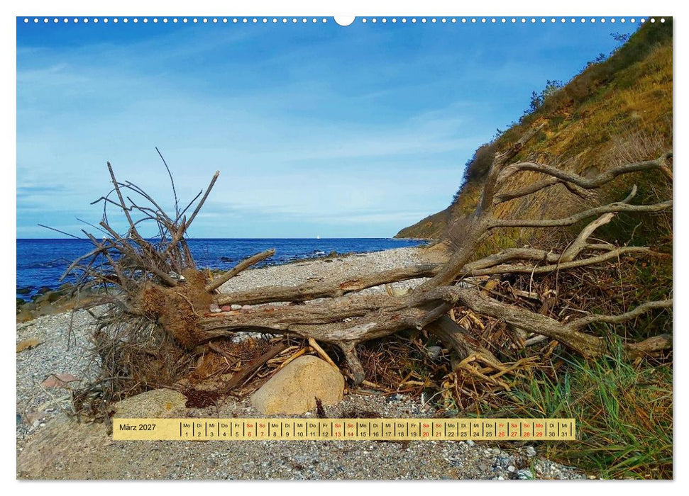 Sötes Länneken Insel Hiddensee (CALVENDO Wandkalender 2027)