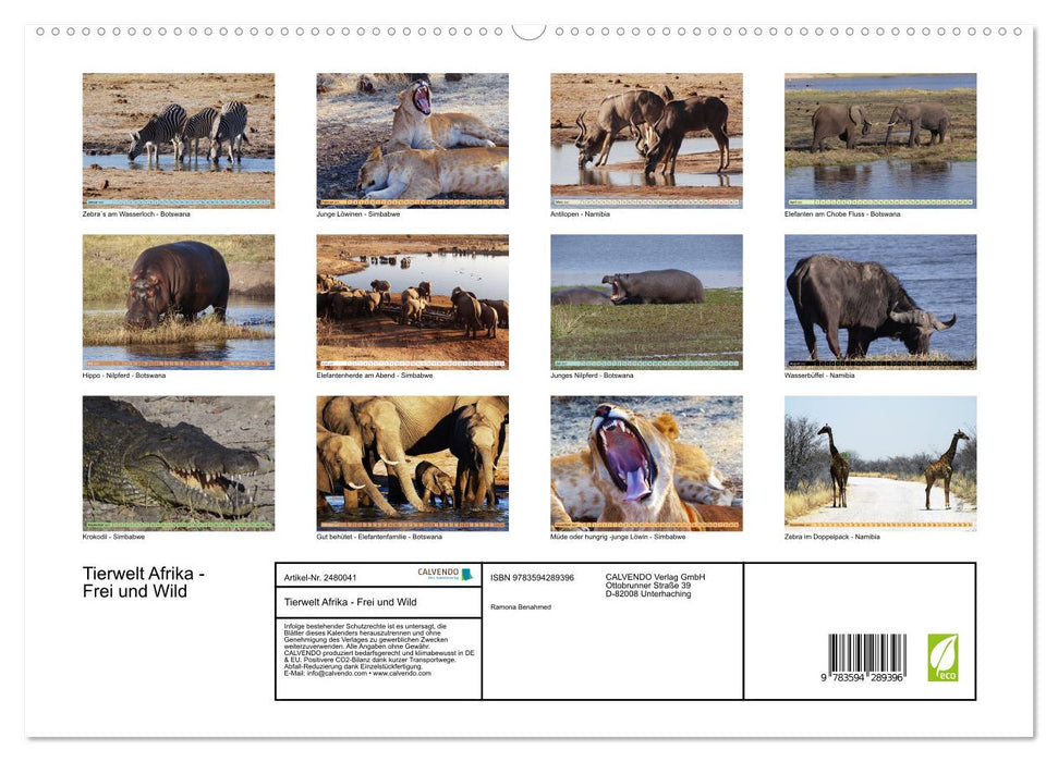 Tierwelt Afrika - Frei und Wild (CALVENDO Premium Wandkalender 2027)