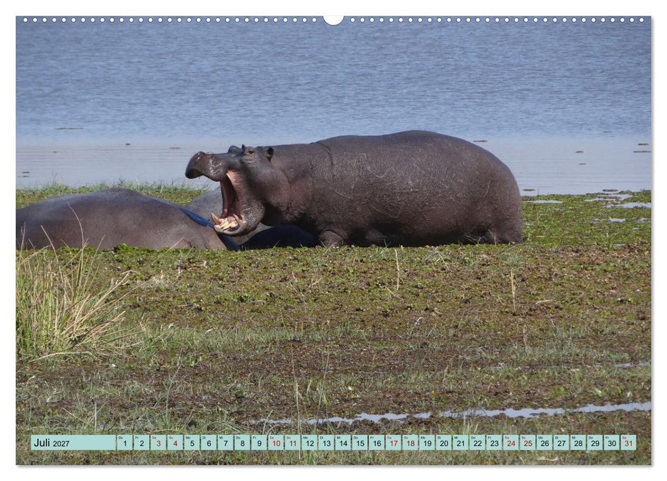 Tierwelt Afrika - Frei und Wild (CALVENDO Premium Wandkalender 2027)
