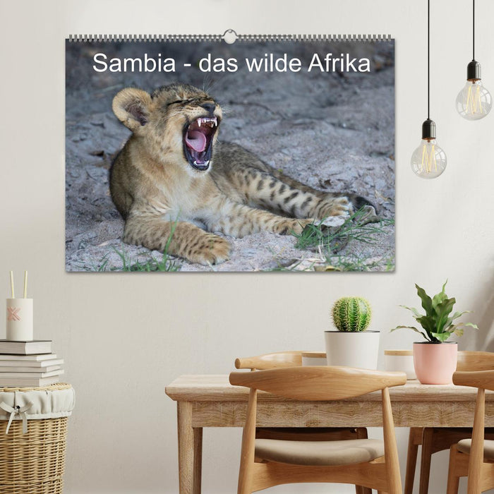 Sambia - das wilde Afrika (CALVENDO Wandkalender 2027)