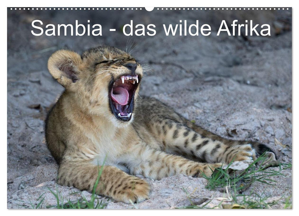 Sambia - das wilde Afrika (CALVENDO Wandkalender 2027)