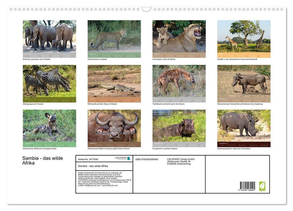 Sambia - das wilde Afrika (CALVENDO Wandkalender 2027)