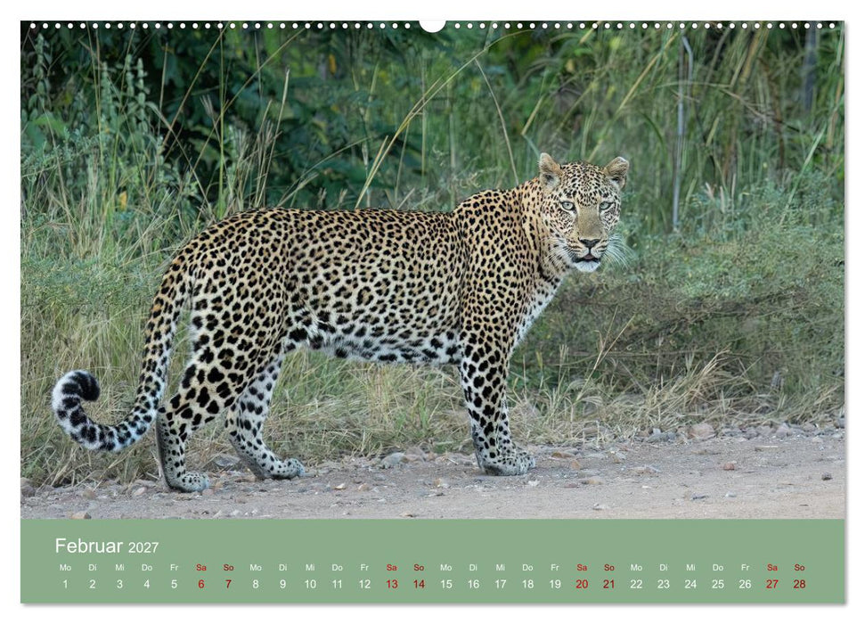 Sambia - das wilde Afrika (CALVENDO Wandkalender 2027)