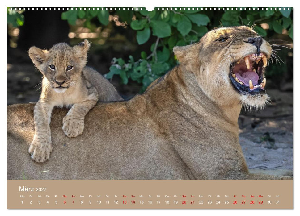 Sambia - das wilde Afrika (CALVENDO Wandkalender 2027)