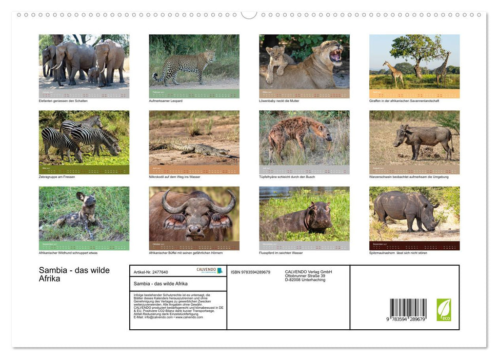 Sambia - das wilde Afrika (CALVENDO Premium Wandkalender 2027)