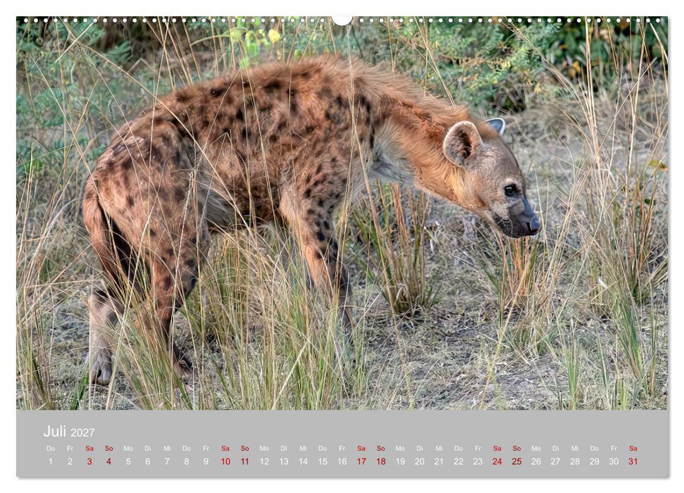 Sambia - das wilde Afrika (CALVENDO Premium Wandkalender 2027)