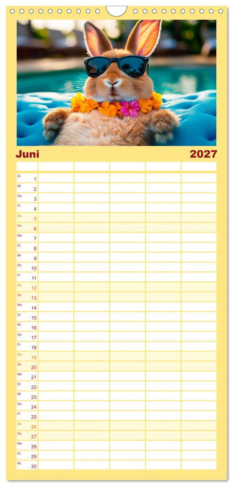 Kaninchen auf Reisen (CALVENDO Familienplaner 2027)
