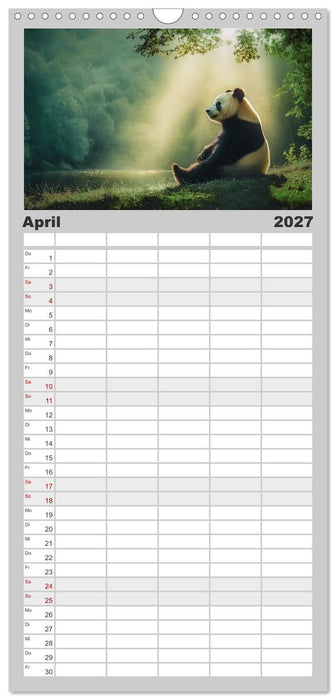 Schwarz auf Weiß - Der Panda-Kalender (CALVENDO Familienplaner 2027)