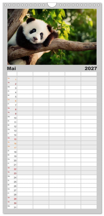 Schwarz auf Weiß - Der Panda-Kalender (CALVENDO Familienplaner 2027)