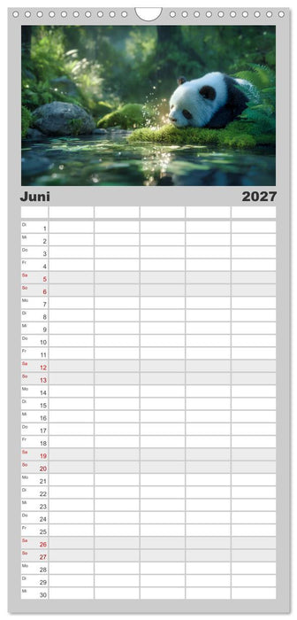 Schwarz auf Weiß - Der Panda-Kalender (CALVENDO Familienplaner 2027)