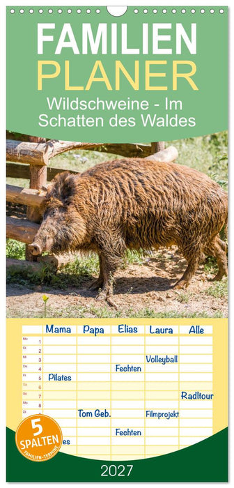 Wildschweine - Im Schatten des Waldes (CALVENDO Familienplaner 2027)