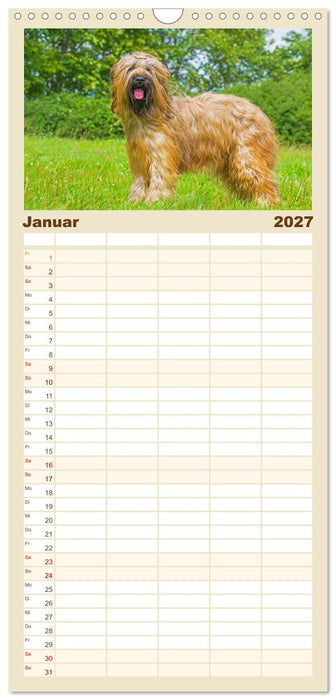 Herz auf vier Pfoten - Briard (CALVENDO Familienplaner 2027)