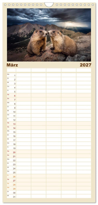 Alpenplüsch - Mit Murmeltieren durchs Jahr (CALVENDO Familienplaner 2027)