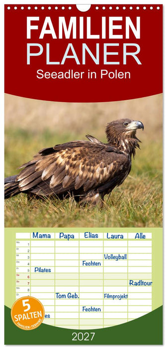Seeadler in Polen (CALVENDO Familienplaner 2027)