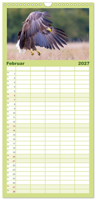 Seeadler in Polen (CALVENDO Familienplaner 2027)
