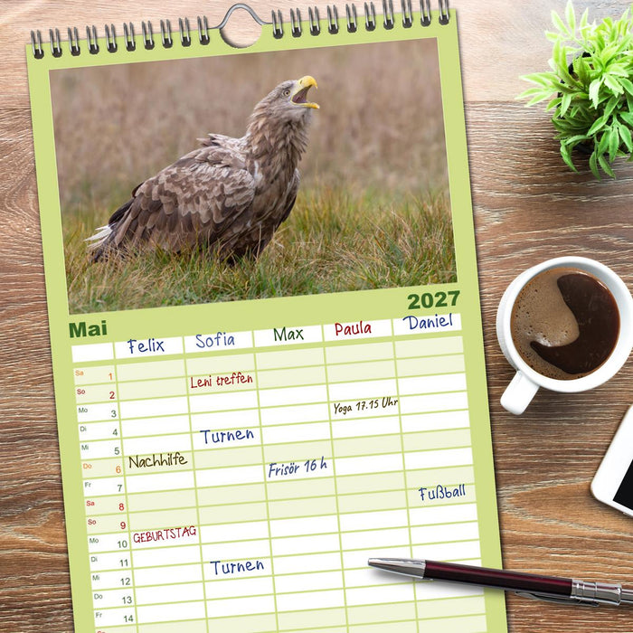 Seeadler in Polen (CALVENDO Familienplaner 2027)