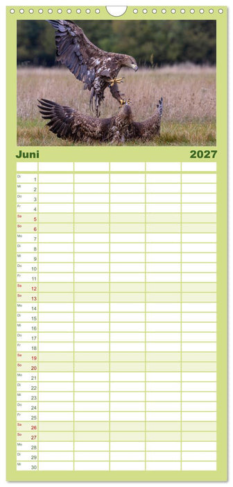 Seeadler in Polen (CALVENDO Familienplaner 2027)