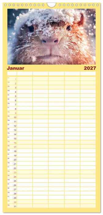 Capybara Zeit (CALVENDO Familienplaner 2027)