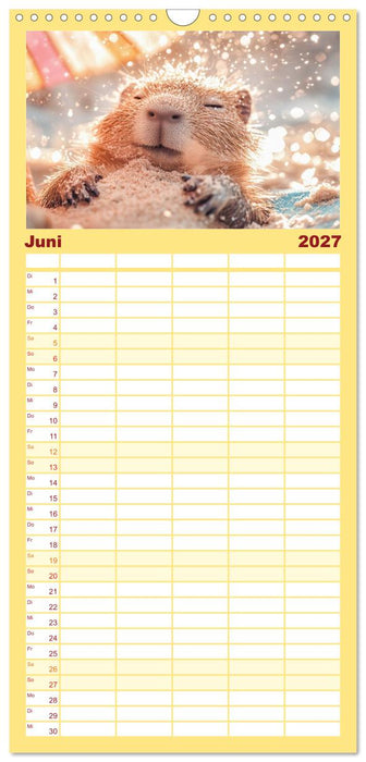 Capybara Zeit (CALVENDO Familienplaner 2027)