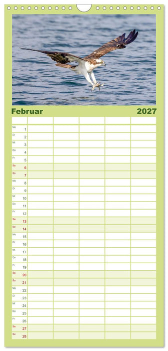 Europas Greifvögel und Eulen (CALVENDO Familienplaner 2027)