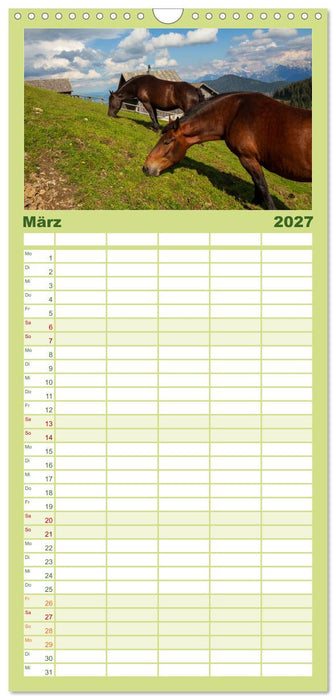 Die Feistritzer Alm - Wandern in den Kärntner Bergen (CALVENDO Familienplaner 2027)