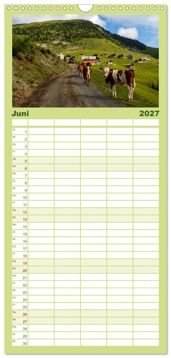 Die Feistritzer Alm - Wandern in den Kärntner Bergen (CALVENDO Familienplaner 2027)