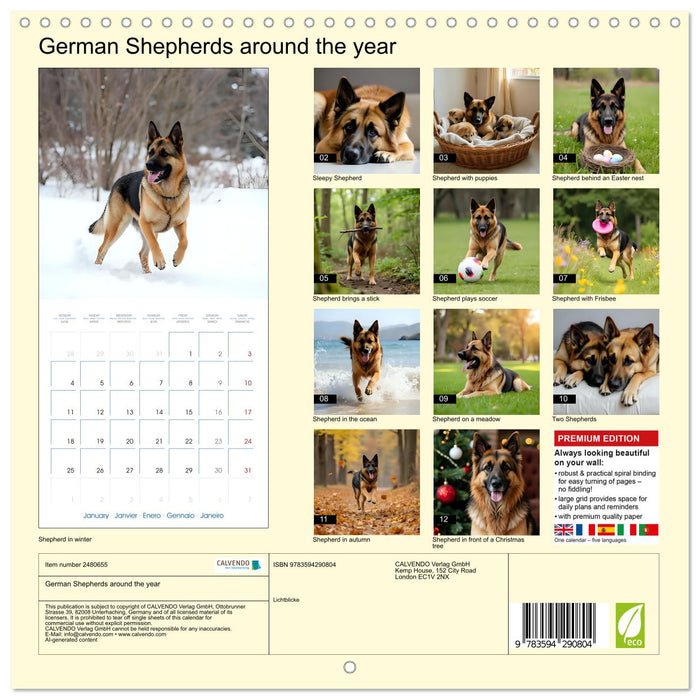 German Shepherds around the year (CALVENDO Monthly Calendar 2027)